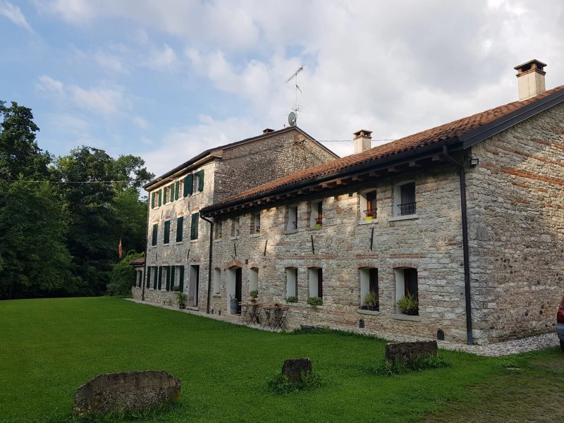 B & B Cordana