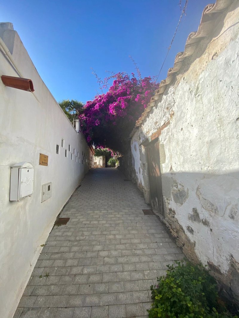 El Rincon de Fataga