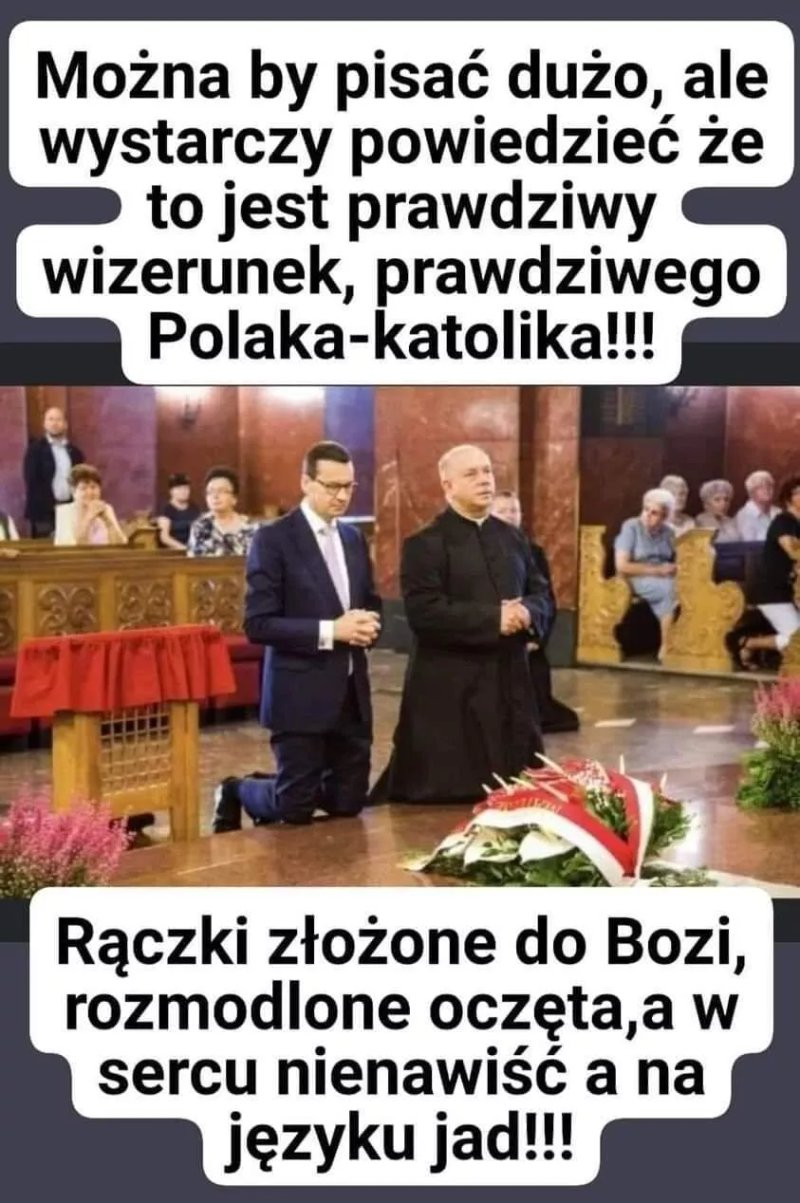 Czaplomania