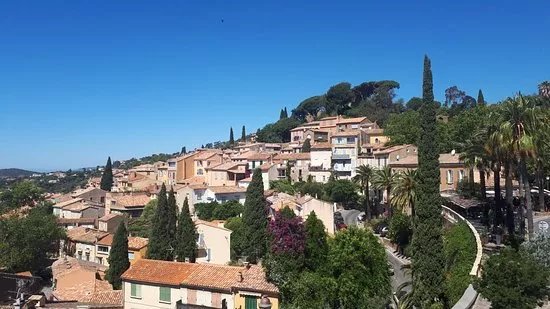 Marche sur Bormes les Mimosas
