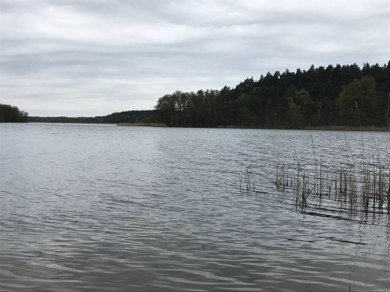 Klosterblick