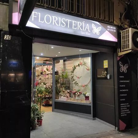Floristeria San Blas Alicante