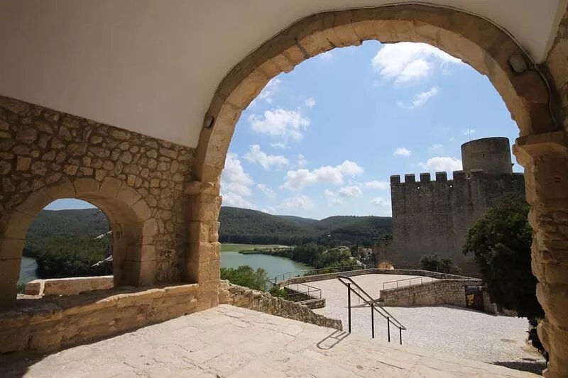 Milk Wood; middleage,vineyards and forests, near seaside, Sitges and Barcelona