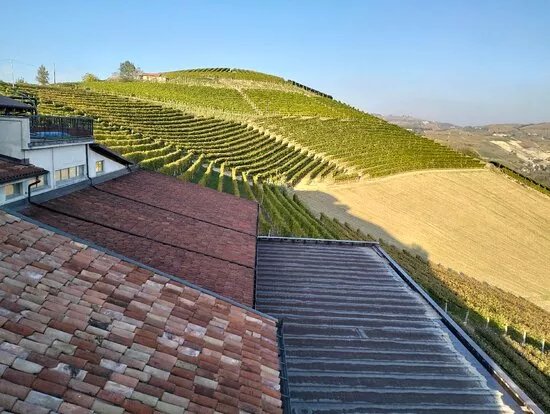 Azienda Agricola Ettore Germano