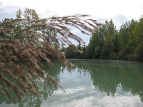 Laghetti di Cesena