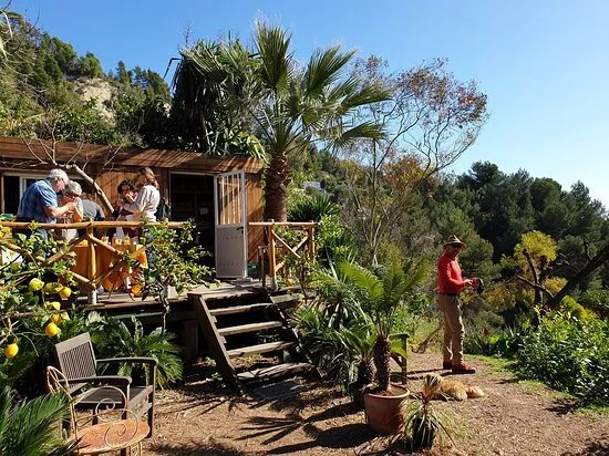 La Maison Du Citron