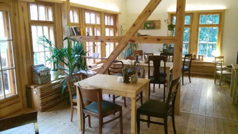 Cafe Verde - Vitopia