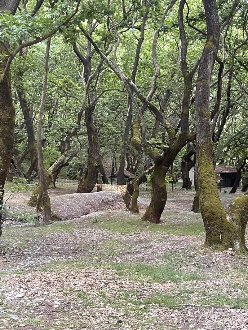 Farma Rigogianni