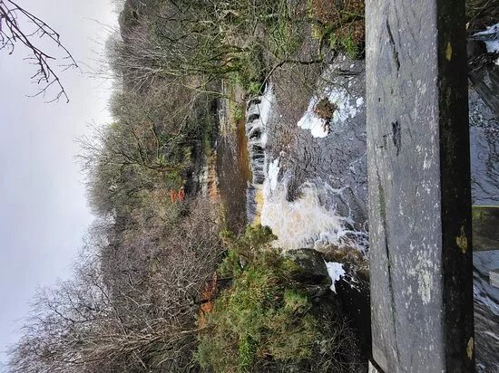 Lynn Falls