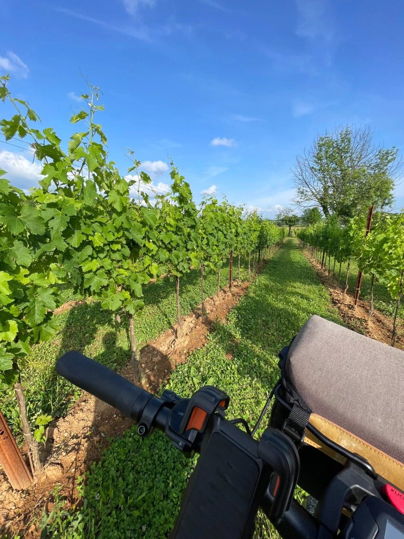 Tenuta Della Casa Wine & Rooms - La Pausa Del Collio
