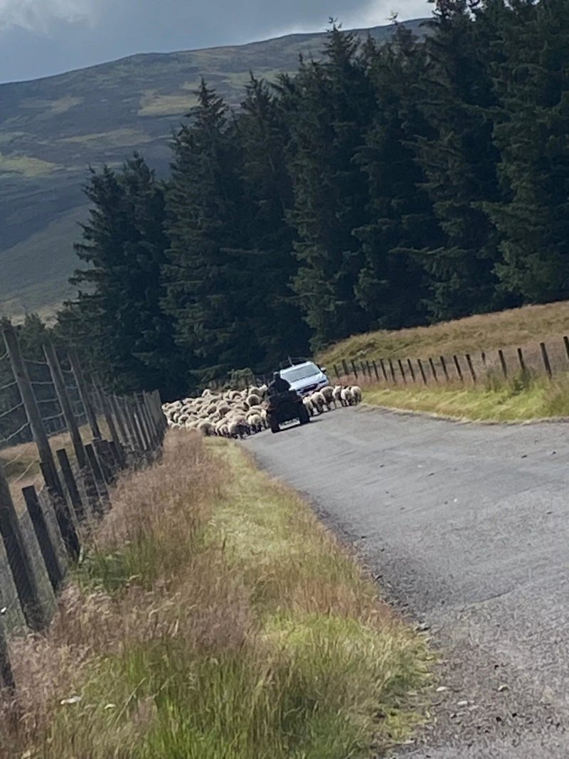 Glen Clova Hotel