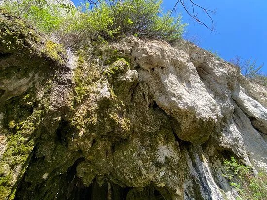 "gaura Cu Musca" Cave.