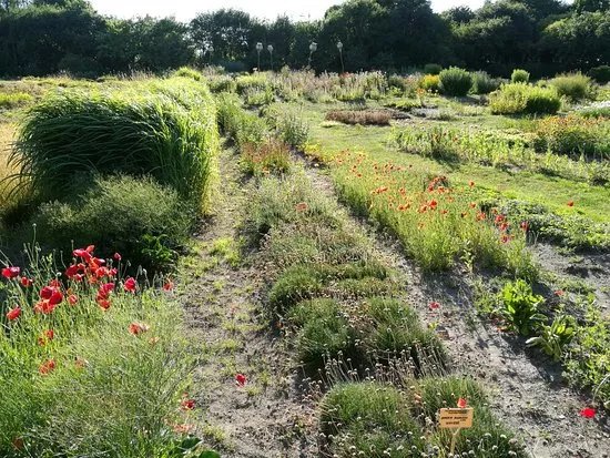 Botanical Garden of Klaipeda University