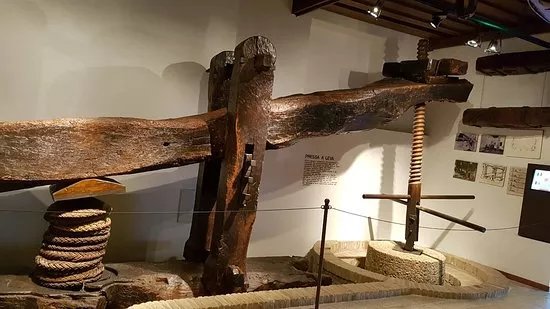 Museo Dell'olio D'oliva