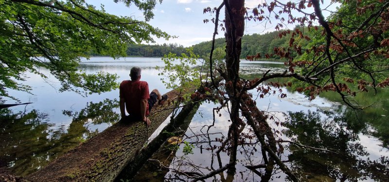 Czajcze Lake -  In Wolin National Park