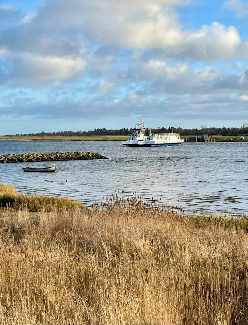 Udbyhøj Camping