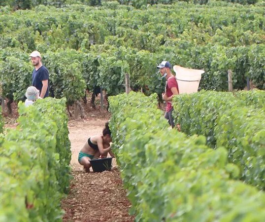 Domaine Francois Lumpp