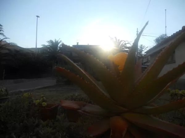 La Chiocciola B&B
