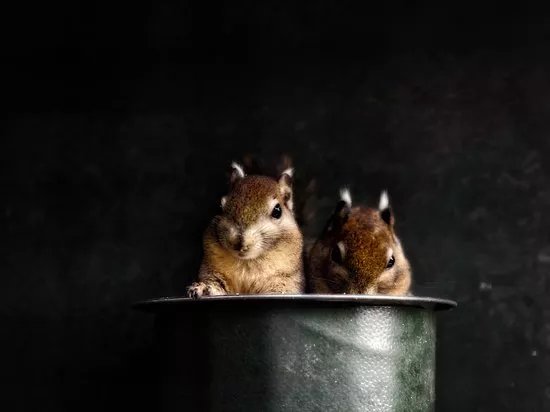 Dierenpark Taman Indonesia