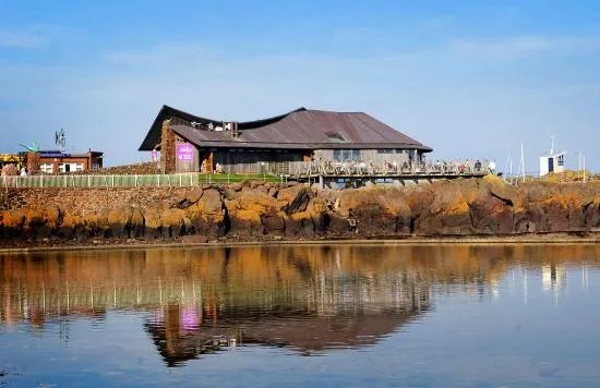 Scottish Seabird Centre