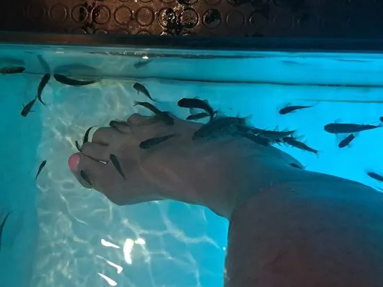 Fish Spa Comme Un Poisson Dans L'o