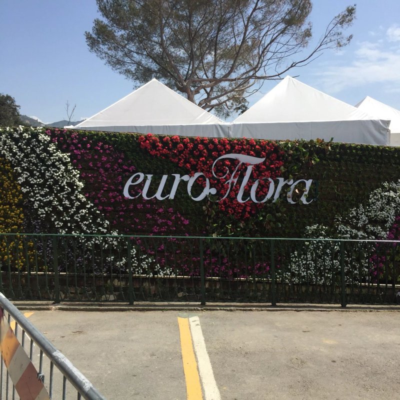 Fiera Mare