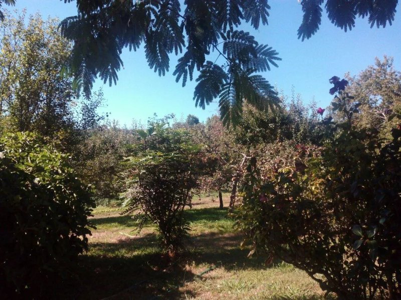 Casa Suarez Turismo Rural