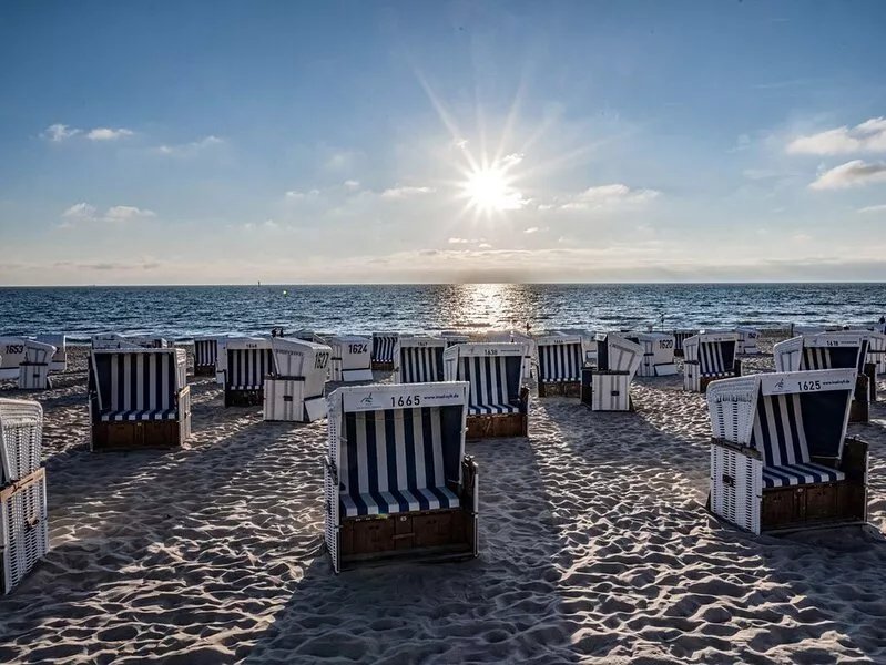 Strandrose - Sylt is a valuable habitat and soothing vacation spot, a