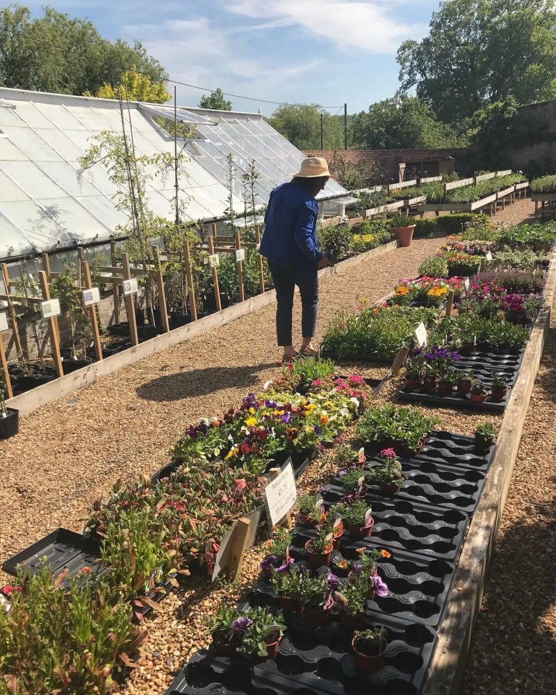 Redisham Hall Nurseries