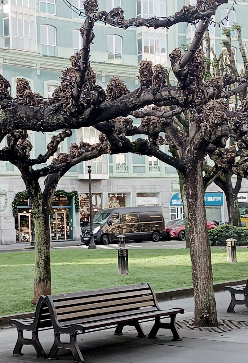 Plaza De San Miguel