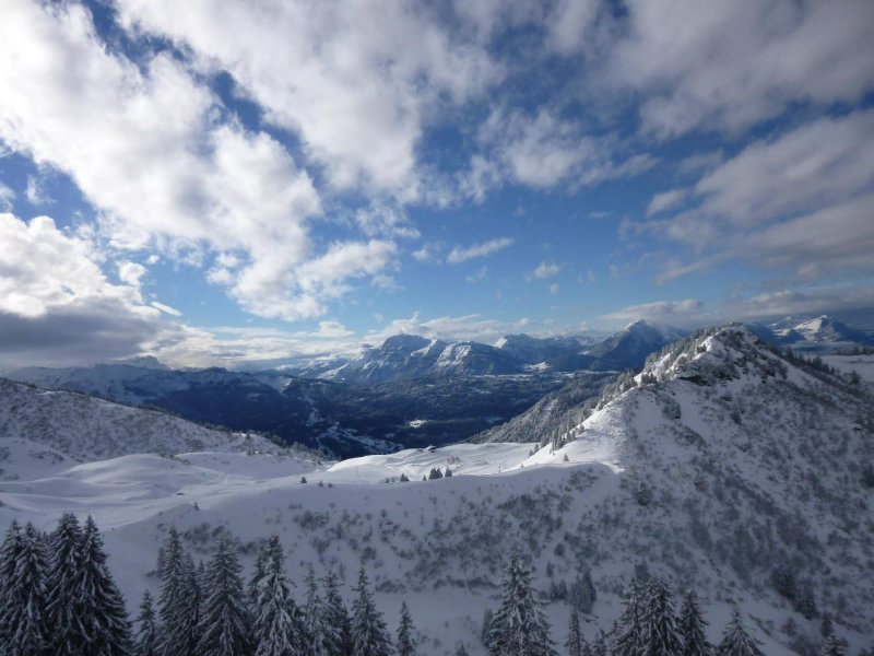 Chalet Violetta