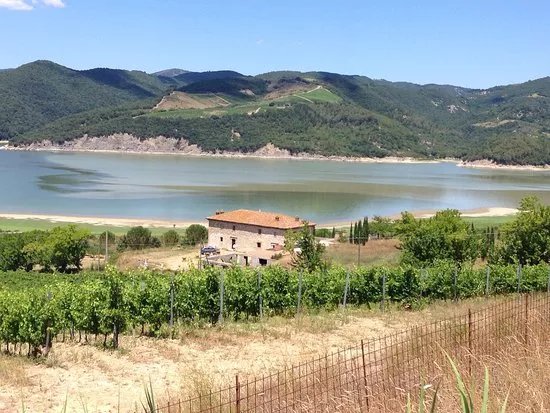 Lago di Corbara