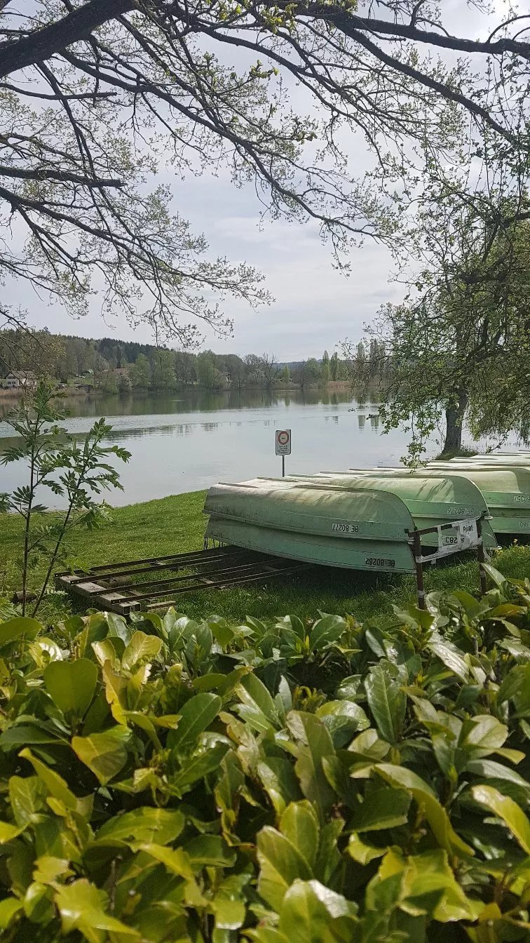 Restaurant Seerose am Moossee