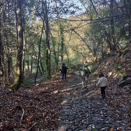 Trail Porto Ceresio - Ca' Del Monte - Brusino