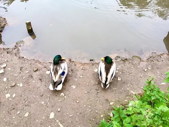 Queens Park