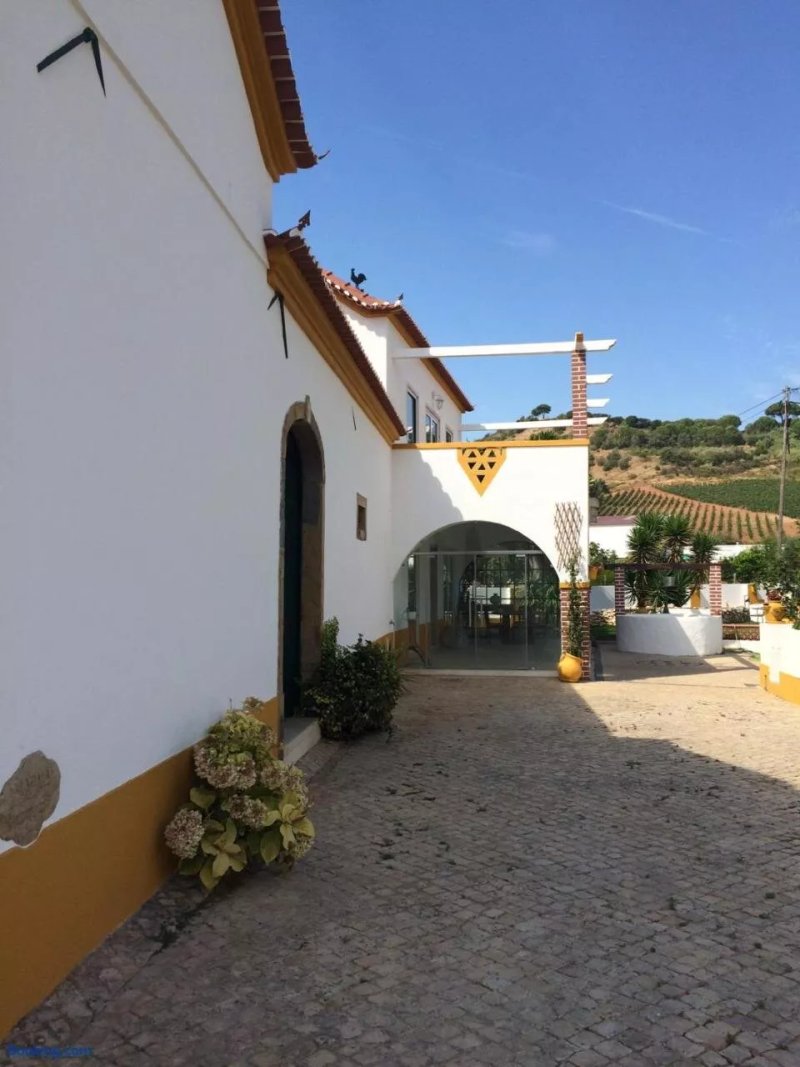 Quinta Ribeira Do Labrador - Lisbon West Wine Route
