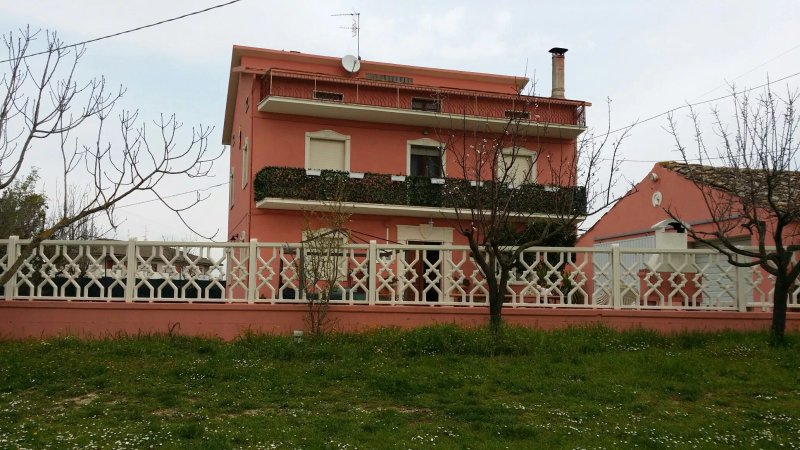 B&B new Camelot
