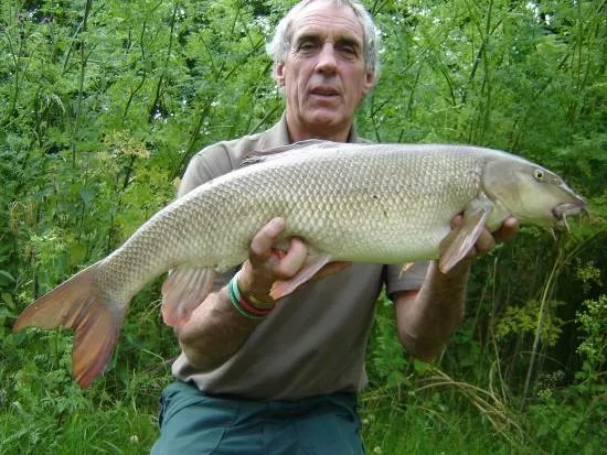 Steve Ward Fishing