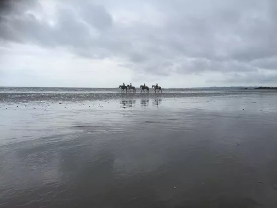 Marros Riding Centre