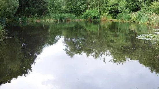 Legge Farm Coarse Fishery