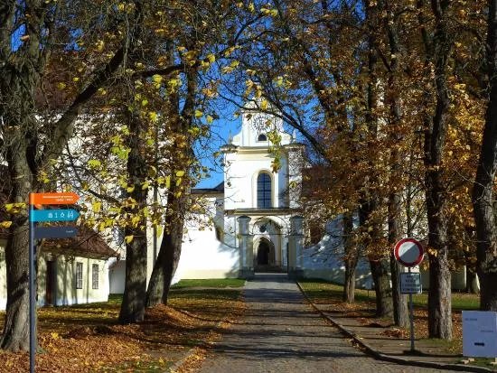 Bazilika Nanebevzeti Panny Marie a Svateho Mikulase