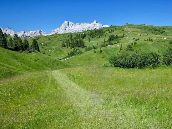 Monte Cherz