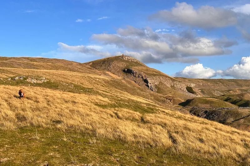 An exceptional holiday home for 6 people & 2 dogs with multi-fuel stove, WiFi