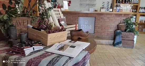 Villa Alvor - Wine & Tourism