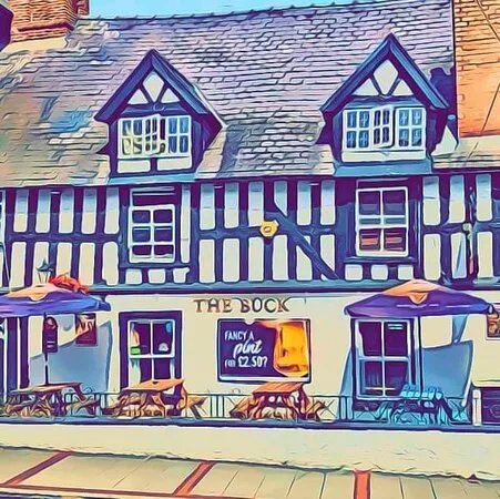 The Buck Inn - Newtown