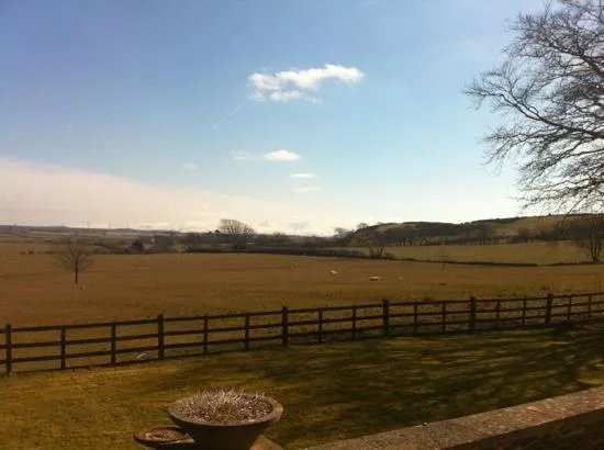 Llwydiarth Fawr
