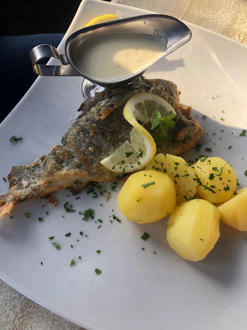Gundis Fischkaten