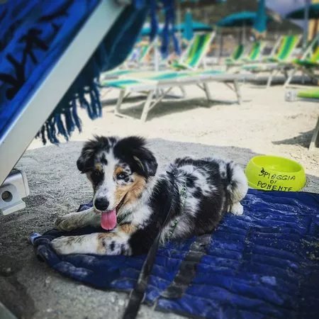 Spiaggia Libera Attrezzata Di Ponente