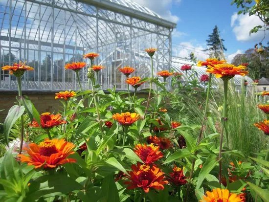 Le Jardin Potager de Bonnetable