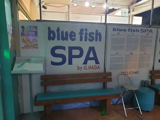 Blue Fish Spa